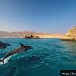 Home 18 오만 돌고래 관찰 투어 - A vibrant and detailed scene of a pod of playful dolphins near the coast of Oman during early mornin...